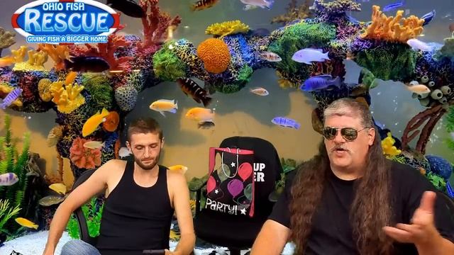 Stay Fishy Friday, Tracy update, talk about pool ponds and what you can put in them 09/03//21 смотреть онлайн