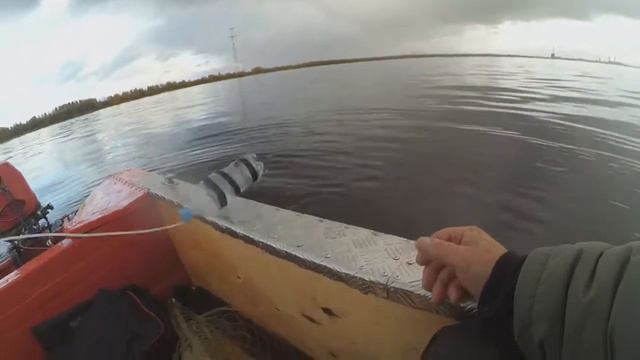 На Рыбалку в выходные!!! Фрагменты с рыбалки смотреть онлайн