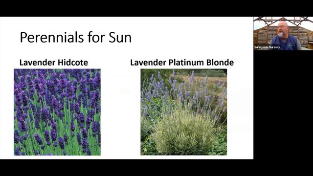 Perennials & Pollinators Sunnyside Nursery Zoom Class 2021 смотреть онлайн