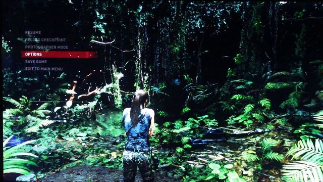 Nvidia GeForce GTX 770 SLI FPS Benchmark 1080p 1440p 4K Still Worth It In 2021