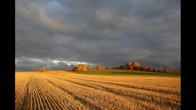 Есть в осени первоначальной...Ф.ТЮТЧЕВ. смотреть онлайн