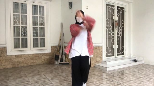 Stray Kids - Back Door Dance Cover by Ika смотреть онлайн