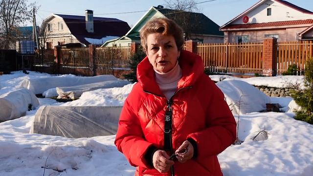 Когда снимать укрытие с роз смотреть онлайн