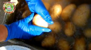 Как спасти картошку от картофельной моли в погребе? Легко и просто