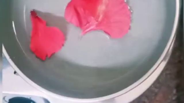 Hibiscus Tea/healthy and energy drink смотреть онлайн
