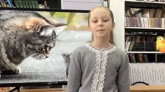 Михаил Придворов. Стеснительные мышки. смотреть онлайн