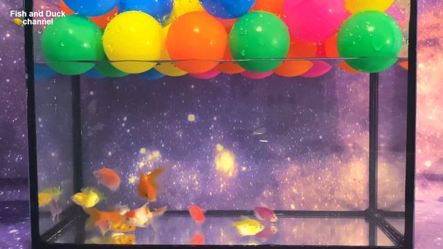 Fluorescent Fish and Goldfish: Space Aquarium ? смотреть онлайн
