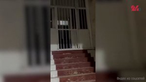 В Оше таксист домогался до несовершеннолетней. В милиции не приняли заявление от пострадавшей