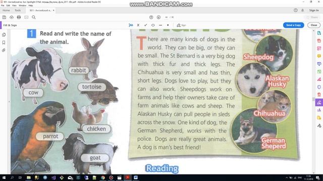 Spotlight 5 класс Рабочая тетрадь. Модуль 5 c смотреть онлайн