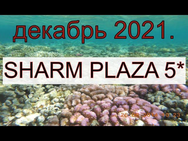 SHARM PLAZA. НАШЕ МНЕНИЕ ПО ОТЕЛЮ. смотреть онлайн