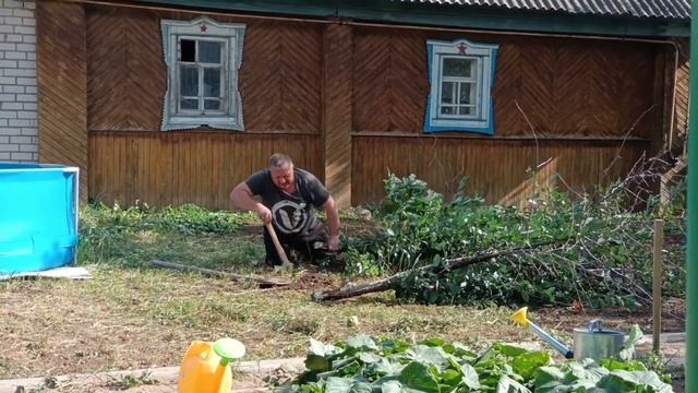 РОМАНТИЧЕСКИЙ УЖИН НА ДВОИХ /УБИРАЕМ НЕ НУЖНЫЕ ДЕРЕВЬЯ /НАВОДИМ ПОРЯДКИ /ПРИЕХАЛ МИША смотреть онлайн