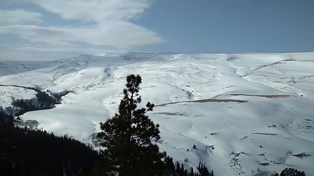 Утюг, Лаго_Наки 07.03.20 смотреть онлайн