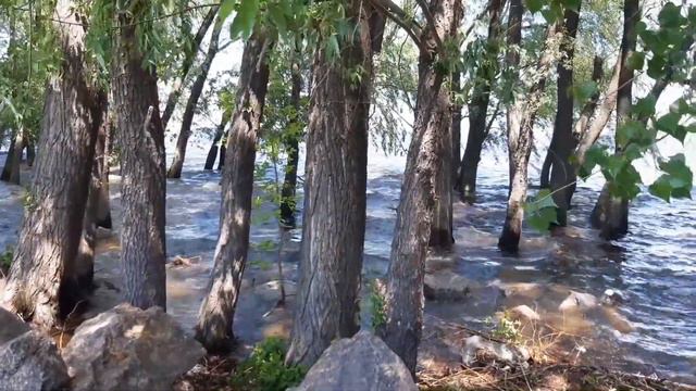 А вы видели как поднялась вода в Днепре? смотреть онлайн