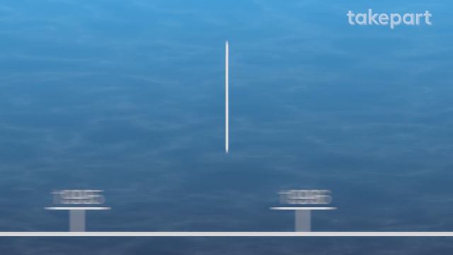 50 Years of Marine Mammal Captivity in 4 Minutes | CAPTIVE | TakePart смотреть онлайн