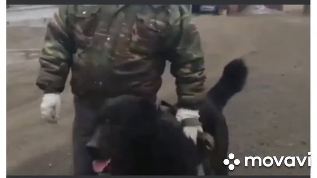 Ясар сын Бая старого смотреть онлайн
