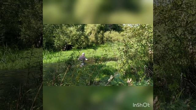 Раки в реке Птань/Тула смотреть онлайн