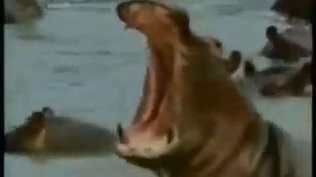 Зверский автомобиль / brutal car смотреть онлайн