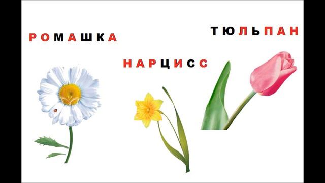 Как дети дома учатся читать? (Цветы и цвета) смотреть онлайн