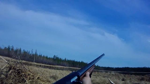 фрагменты и кадры добычи водоплавающей дичи (уток) охота в якутии 9 смотреть онлайн