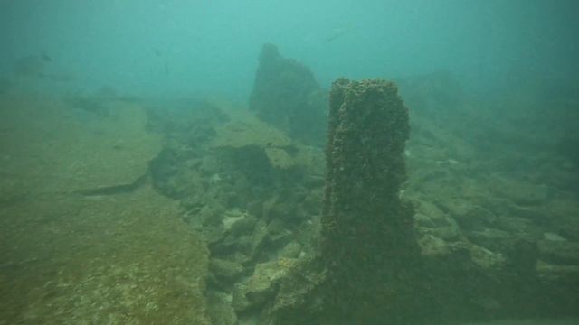ШРИ ЛАНКА / ИНДИЙСКИЙ ОКЕАН / Погружение на затонувшие корабли SS Conch и Earl of Shaftesbury смотреть онлайн