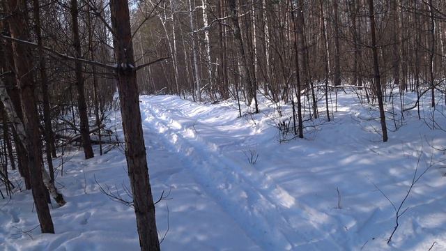 Охота на зайца с русскими гончими 2023 смотреть онлайн