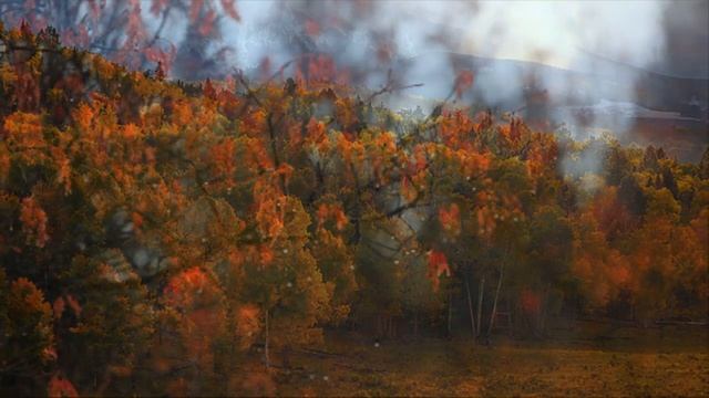Альбом стихов-" Осенняя грусть" 2 часть.душевная песня. смотреть онлайн
