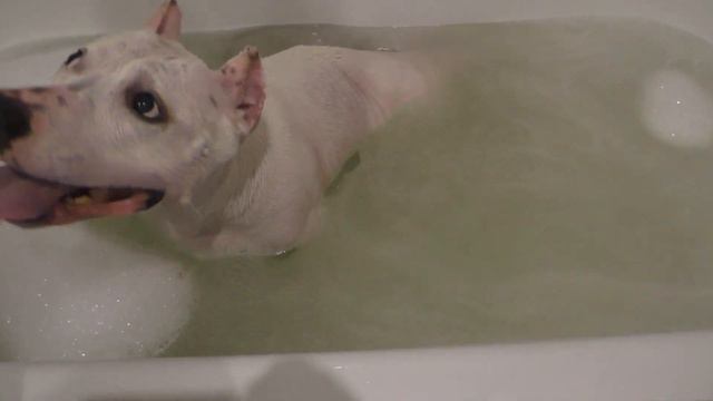 Водные процедуры и обновка!) смотреть онлайн