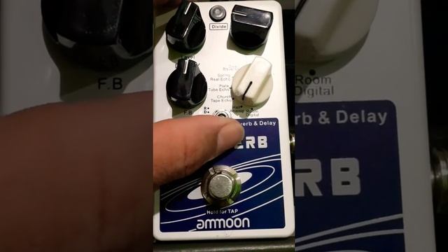 Review pedal pockverb ammoon (como controlar o delay e o reverb separadamente) смотреть онлайн