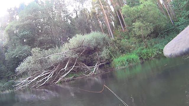 голавль на Рессе 02 08 2014 1 смотреть онлайн