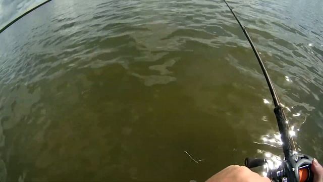 Ловля щуки на свимбейт.Плотва Savage Gear 3D Line Thru Roach "рулит". смотреть онлайн