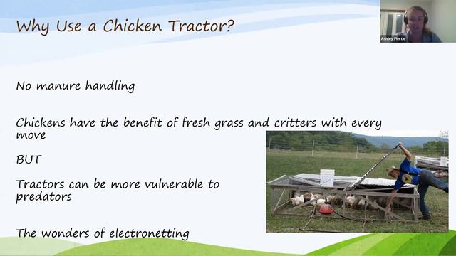 Basic Poultry Management смотреть онлайн