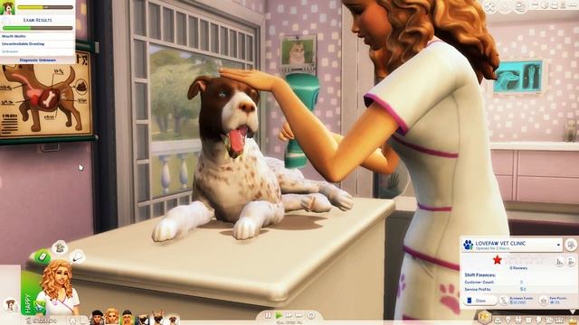 MUST HAVE MODS FOR CATS AND DOGS || The Sims 4 смотреть онлайн