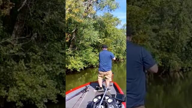 MISSILE BAITS MINI FLIP #missilebaits смотреть онлайн