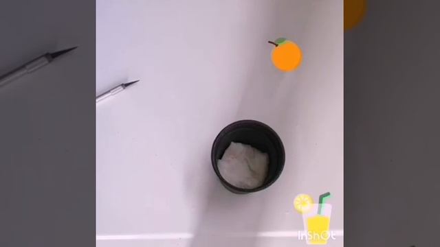 Kako Uzgojiti Mandarine Iz Semena .Come Fare Nascere Una Pianta Di Mandarino Senza Fatica.