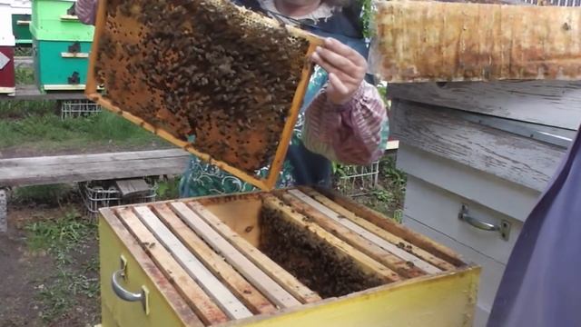 Расширяй гнездо - радуй матку смотреть онлайн