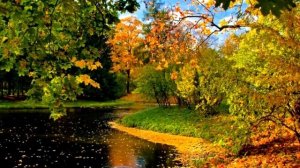 Антонио Вивальди - Времена года. Осень. Часть 3: Аллегро