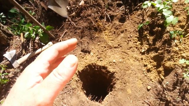 Бурение отверстий под забор. Часть 2. смотреть онлайн