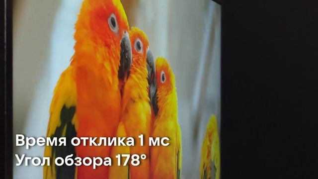 Новый монитор для побед! 2к 240Гц за... смотреть онлайн