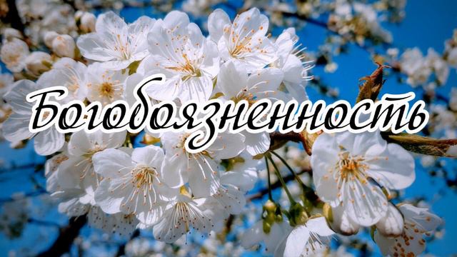 Богобоязненность ...---- слово бр. Виктор смотреть онлайн