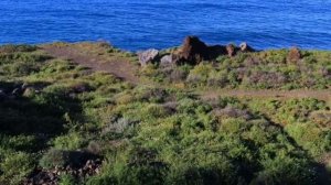 Spirit of Fire - Jesse Gallagher