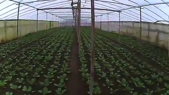 отопление теплицы дровами смотреть онлайн