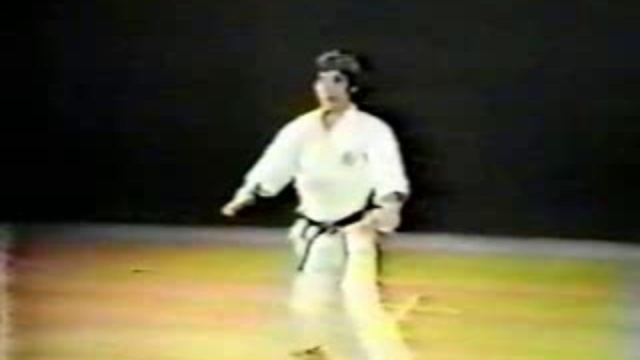 ката Шотокан каратэ-до - Хангецу смотреть онлайн