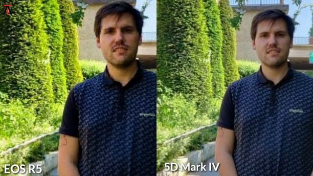 Canon EOS R5 VS Canon 5D Mark IV CAMERA COMPARISON | Canon R5