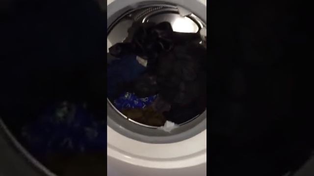 Bosch logixx 9 cotton 40 смотреть онлайн