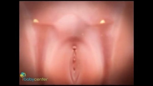 БЕРЕМЕННОСТЬ И РОДЫ-ВЗГЛЯД ИЗНУТРИ