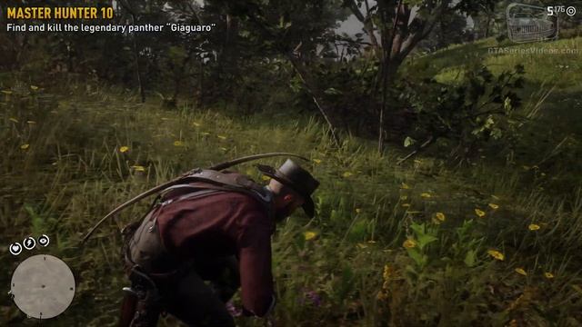 Red Dead Redemption 2 Master Hunter Challenge #10 Guide - Kill the legendary panther “Giaguaro” смотреть онлайн
