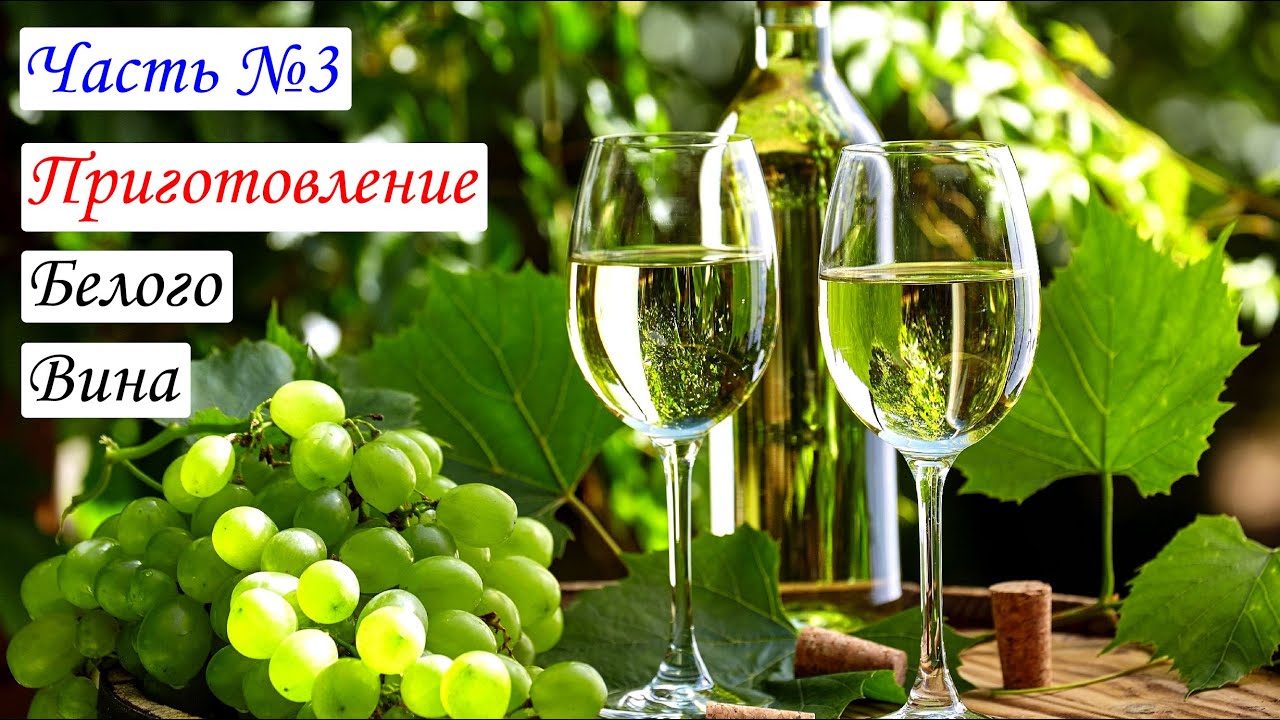 Приготовление Белого вина. Вино из Цитронного Магарача. Часть №3 смотреть онлайн