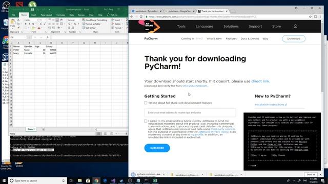 用Python处理Excel | Proces Excel with Python | E02-Read&Write Excel Files смотреть онлайн