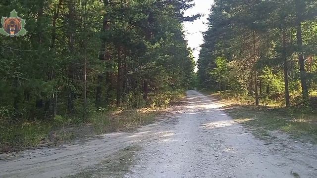 Каньон 1 смотреть онлайн