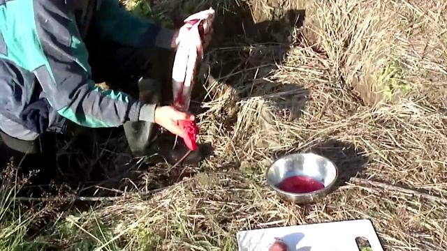 Камчатка 2011 смотреть онлайн